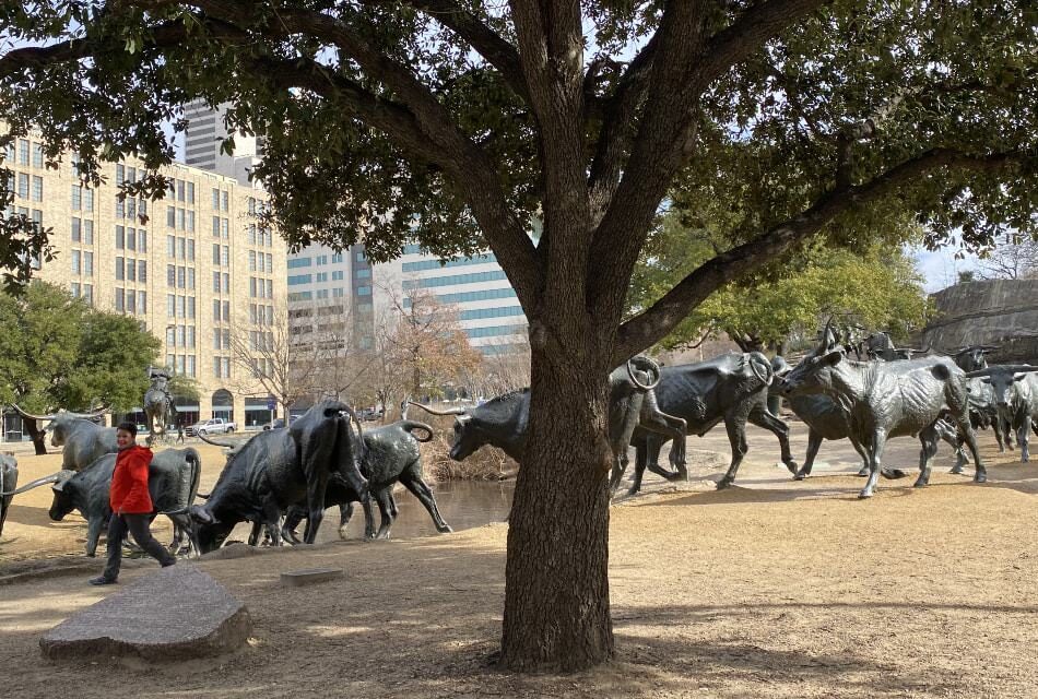 Large tree surrounded by a herd of cattle statues