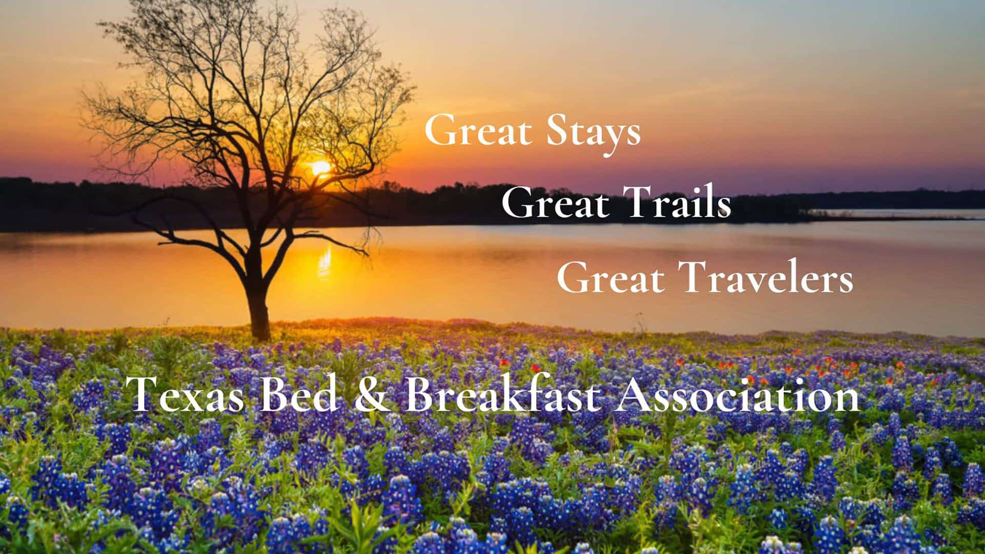 Sillhoutte of tree with no leaves surrounded by a field of blue flowers with setting sun in the background and white text stating Great Stays Great Trails Great Travelers Texas Bed & Breakfast Association